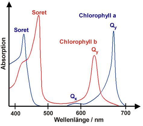 Filechlorophyll Spectrumpng Wikimedia Commons