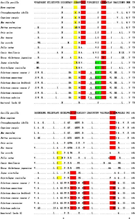 Multiple Alignments Of Leptin Amino Acids Sequences Residues Identical