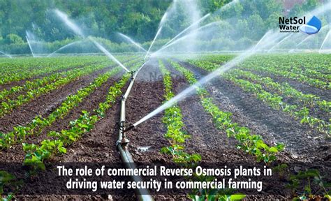 Commercial Ro Plants Driving Water Security In Commercial Farming