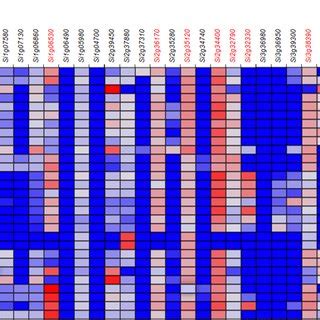 Snps Identified By The Bsr Seq Analysis Based On The Rils Of Yugu