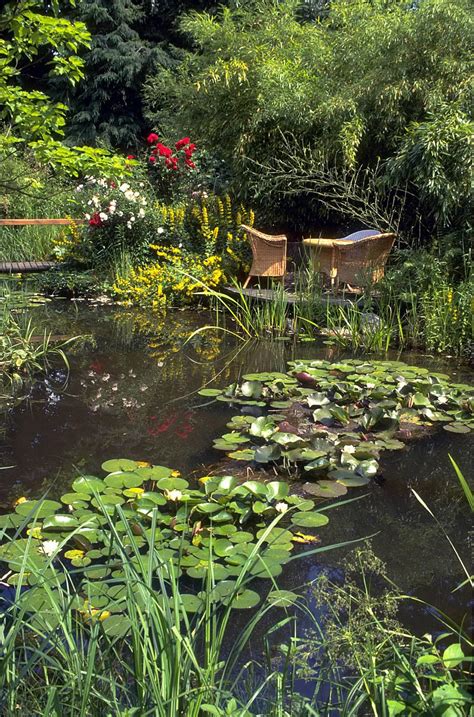 Gartenteich Anlegen Bepflanzen Und Pflegen Praktische Tipps