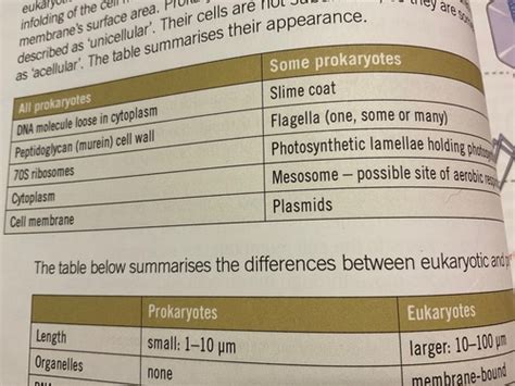 Prokaryotic Cells Eukaryotic Cells And Viruses Flashcards Quizlet