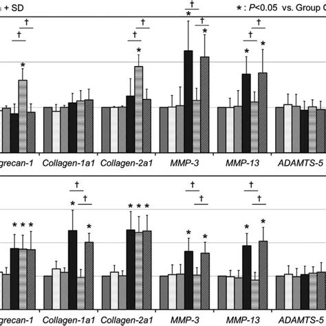 Extracellular Matrix Gene Expressions Anabolic And Catabolic Gene