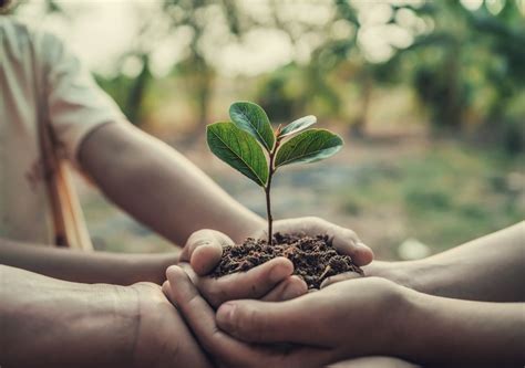 Celebra Se Hoje O Dia Mundial Da Terra