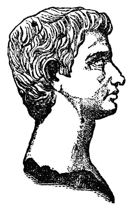 Brutus Julius Caesar Drawing