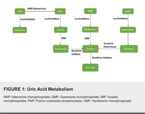 Figure 1 From Serum Uric Acid Risk Factor For Acute Ischemic Stroke