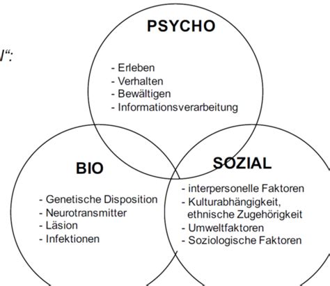 2 Ätiologie und Komorbidität Flashcards Quizlet