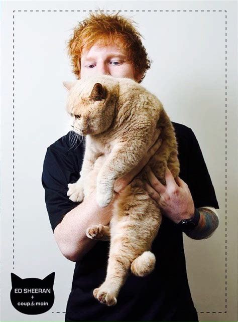 Twitter Ed Sheeran Ed Sheeran Love Cats