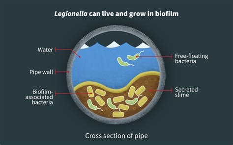 Should You Be Worried About Legionella Kimmel Bogrette Architecture