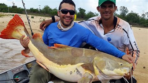 Pirarara Gigante E A Briga O Boto No Rio Araguaia Pescaria Youtube