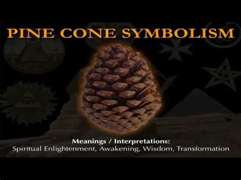 Unveiling The Symbolism What Do Pine Cones Represent Sciencesphere Blog