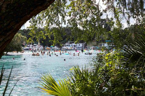 15 Best Natural Springs In Orlando And Central Florida Tips