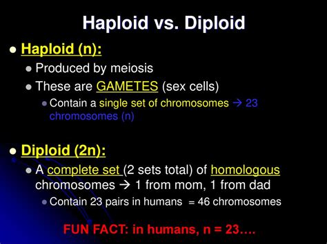 Meiosis H Biology Lane Tech February Ppt Download