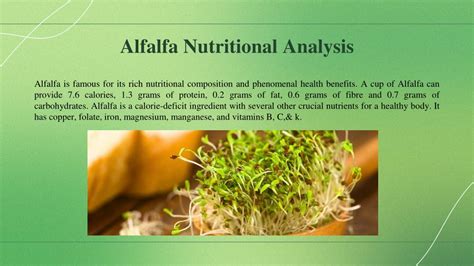 Ppt Health Benefits Of Alfalfa Powder Powerpoint Presentation Free