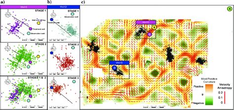 Map View Of Microseismic Event Locations Corresponding To A Wells C