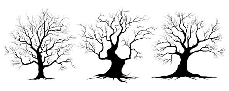 Big Collection Black Tree Or Naked Trees Silhouettes Vector Hand Drawn