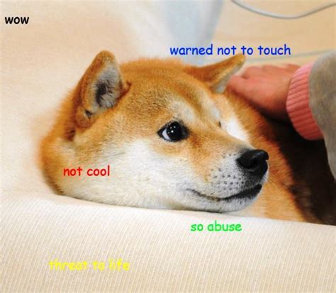 Doge Meme: The Best of Doge