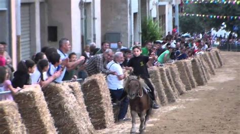 Pariglie A Bitti Alessandro E Il Suo Pony 28 09 2013 YouTube