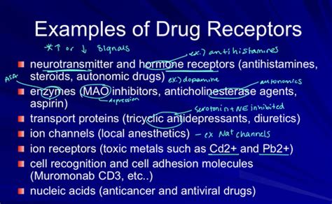 Receptor Theory Signal Transduction Dose Response Flashcards Quizlet