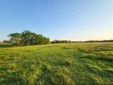 Texas Cattle Ranch For Sale For Sale In De Kalb Tx Bowie County