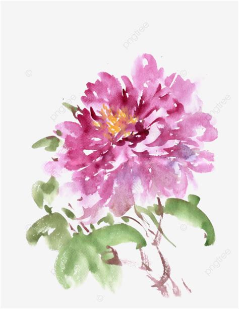 Blooming Peony Ink Bloom Flowers Png Transparent Clipart Image And