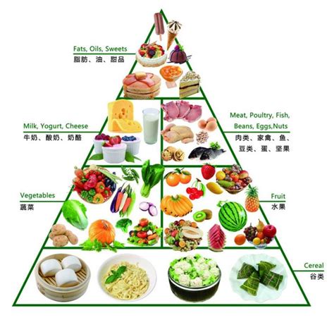 儿童营养膳食金字塔 儿童健康饮食金字塔 儿童膳食 第2页 大山谷图库