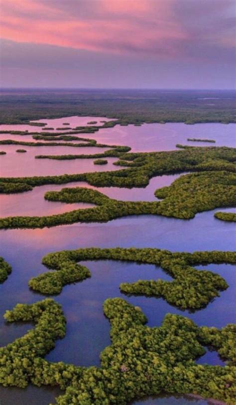 Everglades Wallpapers Top Free Everglades Backgrounds WallpaperAccess