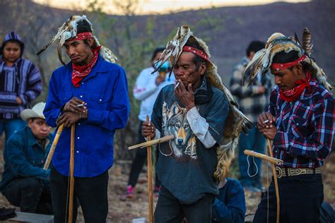 Pueblo Yaqui recupera la Danza del Coyote Pie de Página