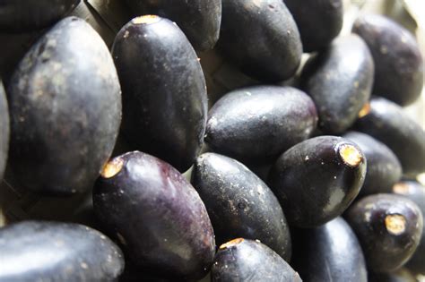 Awesome Bulusan!: Ripe Pili fruit is pure black