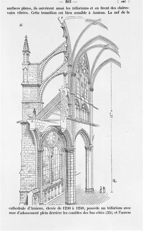 Cathedral Of Notre Dame Amiens Cross Section Through The Nave And