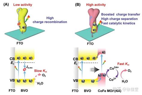 郑州大学易莎莎老师课题组最新small：bivo4cofe Mof异质结构促进电荷转移以实现高效光电化学水分离的结构工程 知乎