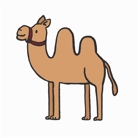 Hand drawn camel illustration | Royalty free stock vector - 439710