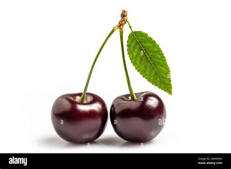 Sweet Cherries With Cherry Leaf Isolated On A White Background Stock