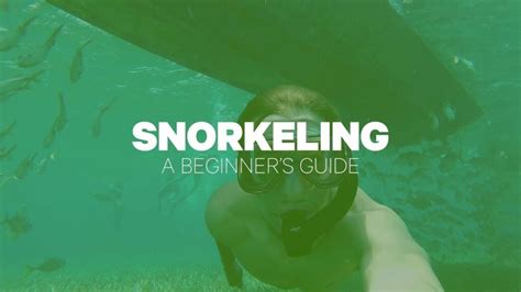 How to Snorkel For Beginners – 7 Tips To Snorkel Like A Pro | Cruising Sea