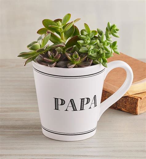 Papa Mug Succulent Garden Harry David