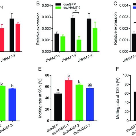 Spatiotemporal Expression Profiles Of Eight JHAMT Genes In Four