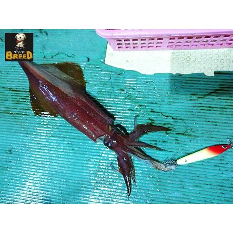 ブリード ネイキッド 20号 ケイムラグローカラー NAKED イカメタル NABURA釣具 通販 Yahoo ショッピング