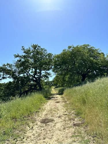 Best Forest Trails In John Muir National Historic Site Alltrails