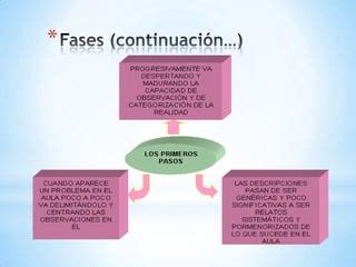 Los Diarios De Campo Ppt