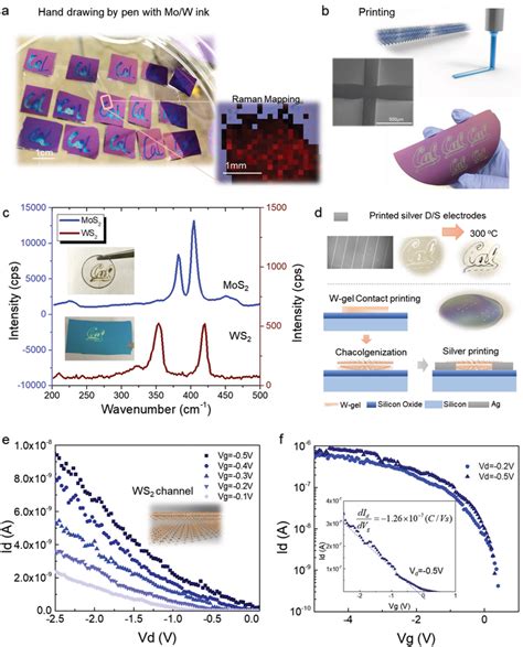 Printing‐based Tmdc Deposition On Versatile Substrates A Writing Download Scientific Diagram