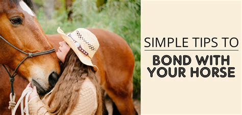 Simple Tips To Bond With Your Horse Vetsupply