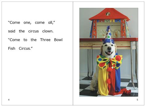 Danny Wants Everyone To See His Three Bowl Circus Featuring Fish