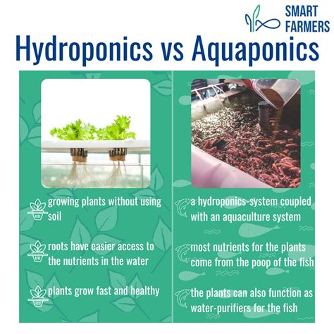 steps  farming smart farmers hydroponics  aquaponics  steps
