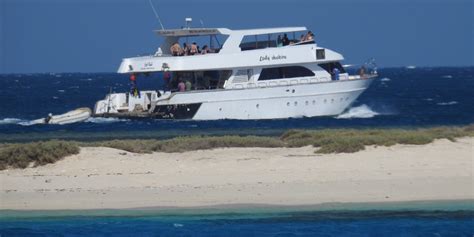 Snorkeling Tour At Hamata Qulaan Islands From Marsa Alam