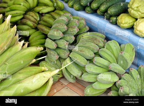 Fresh Green Bananas Sweetcorn Cucumbers Cebu Province Philippines Stock