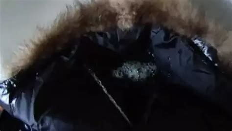 Pissing On Shiny Down Jacket Gay Porn XHamster