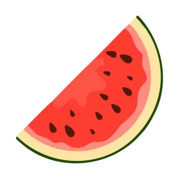 Watermelon Illustration Vector Watermelon Palestine Vectorr Png And