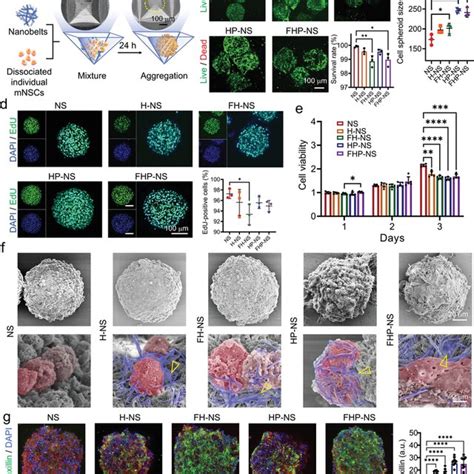 Cisplatin Toxicity In Single Organ Vs Multi Organ Conditions