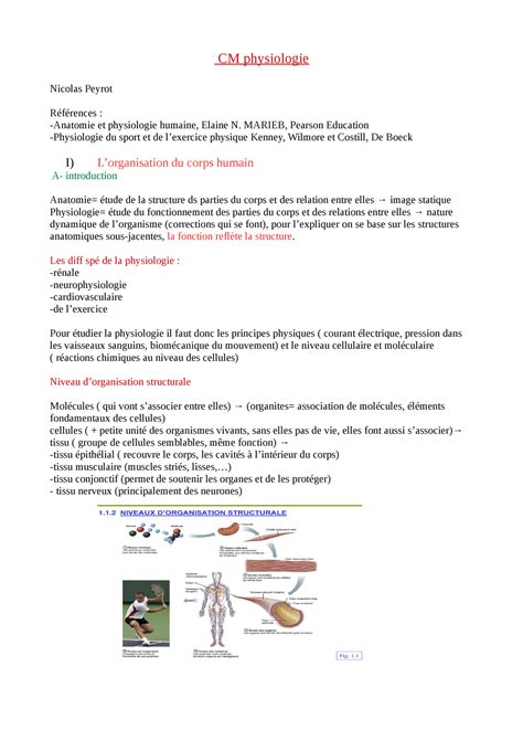 L1 Staps CM Physiologie Intro Sang Coeur CM Physiologie