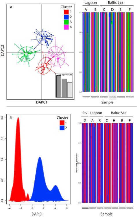 Discriminant Analysis Of Principal Components Dapc And Barplot Of Download Scientific Diagram